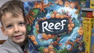 YouTube Review vom Spiel "Reef" von SpieleBlog