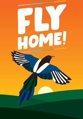 Alle Details zum Brettspiel Fly Home! und ähnlichen Spielen